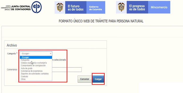 Tarjeta Profesional Contador Publico Primera Vez subir archivos