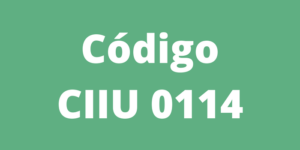 Código CIIU 0114