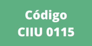 Código CIIU 0115