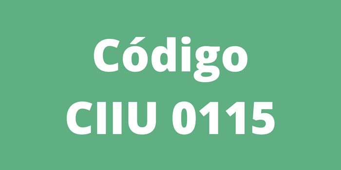 Código CIIU 0115