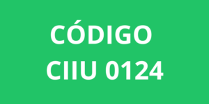 codigo ciiu 0124