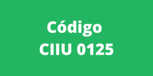 Código CIIU 0125