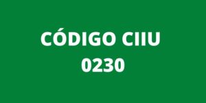 CODIGO CIIU 0230