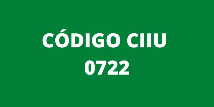 CODIGO CIIU 0722