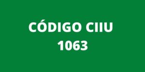 CODIGO CIIU 1063