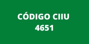 CODIGO CIIU 4651