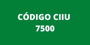 CODIGO CIIU 7500