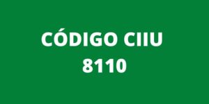 CODIGO CIIU 8110