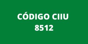 CODIGO CIIU 8512