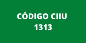 CODIGO CIIU 1313