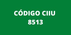 CODIGO CIIU 8513