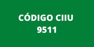 CODIGO CIIU 9511